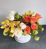 Modern Style Box & Basket