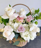 May Seasonal Flowers | Limited Collection