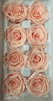 Preserved Flower Arrangement