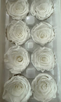 Preserved Flower Arrangement