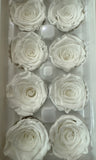 Preserved Flower Arrangement