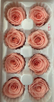 Preserved Flower Arrangement