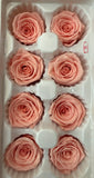 Preserved Flower Arrangement