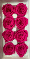 Preserved Flower Arrangement