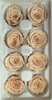 Preserved Flower Arrangement