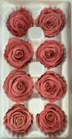 Preserved Flower Arrangement