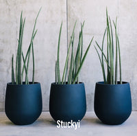 Spring Air Purifying Plants