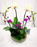 Sympathy Flowers