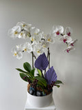 Sympathy Flowers